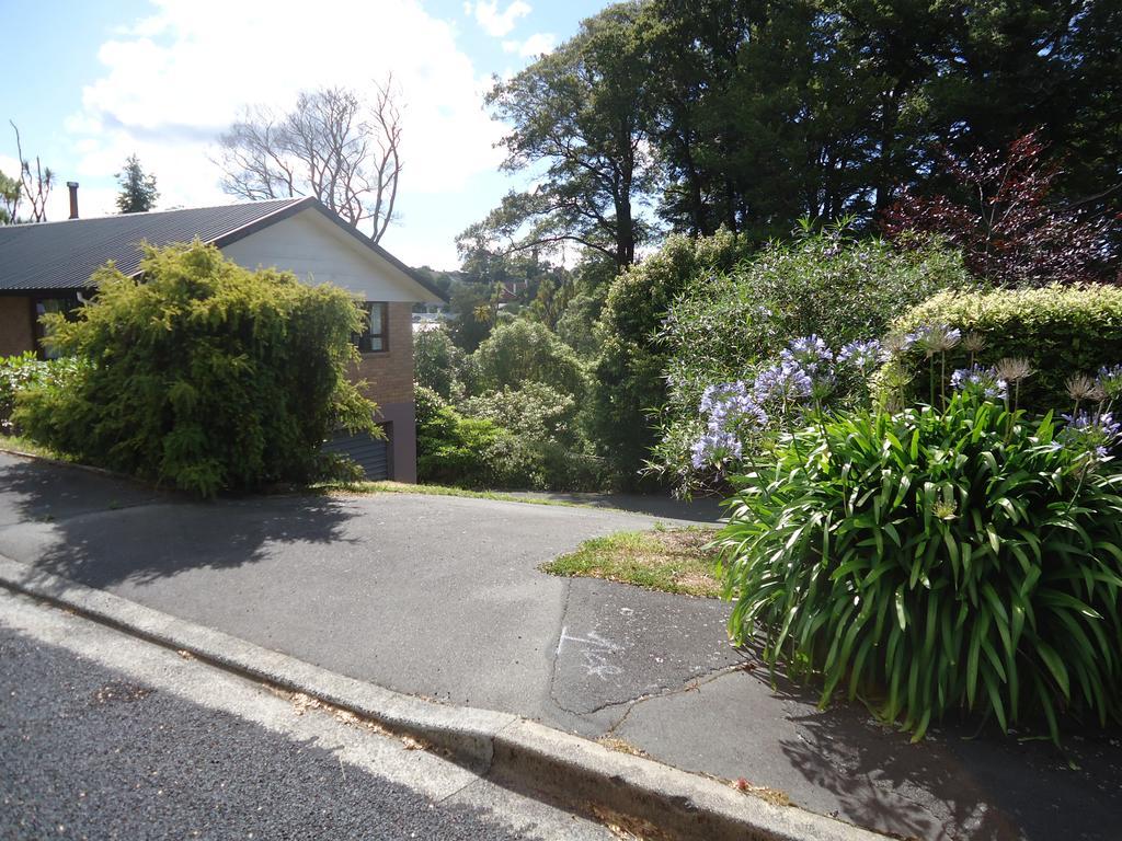 Wakari Holiday Home Dunedin Bagian luar foto